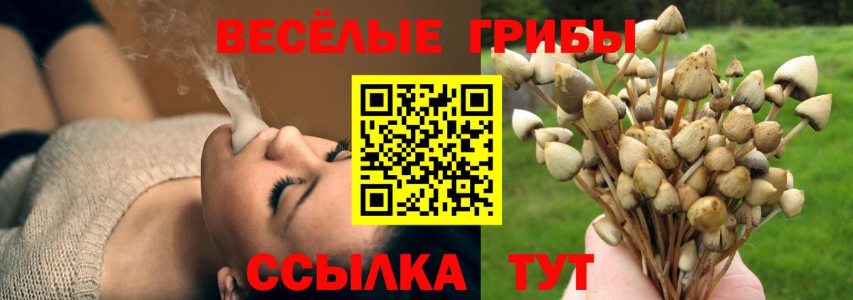 Галлюциногенные грибы ЛСД  Вход с VPN  Кинель 